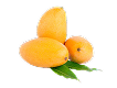 Mangos